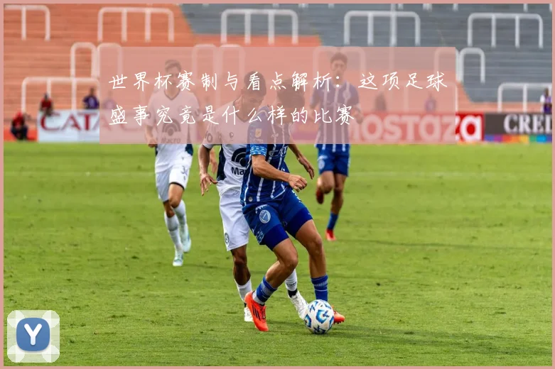 世界杯赛制与看点解析：这项足球盛事究竟是什么样的比赛