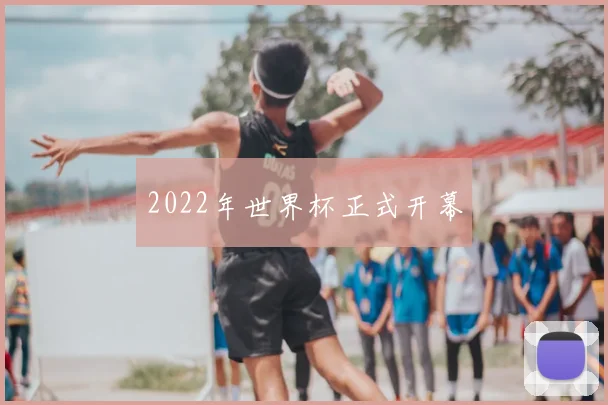 2022年世界杯正式开幕
