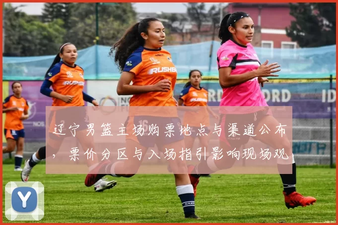 辽宁男篮主场购票地点与渠道公布,票价分区与入场指引影响现场观赛秩序