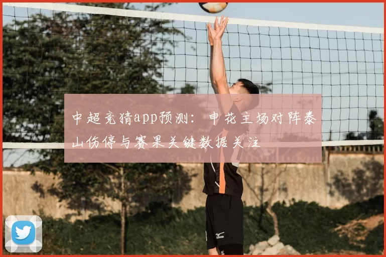 中超竞猜app预测:申花主场对阵泰山伤停与赛果关键数据关注