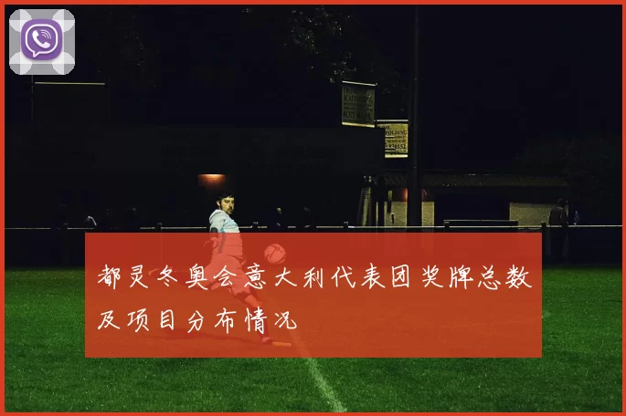 都灵冬奥会意大利代表团奖牌总数及项目分布情况