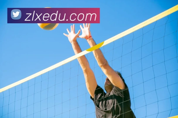 mksports - mk(中国)一站式服务官网服务体系